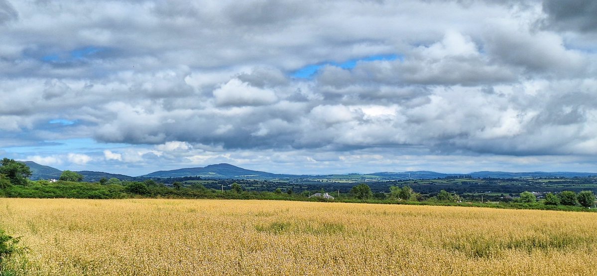 patrickkenealy's tweet image. Another fabulous afternoon spinning around the Waterford countryside! @AimsirTG4 @ancienteastIRL @barrabest @deric_tv @DiscoverIreland @discoverirl @Failte_Ireland @welovewaterford @VisitWaterford @WaterfordANDme @WaterfordPocket @WaterfordGrnWay @GoToIreland @DungarvanTIO