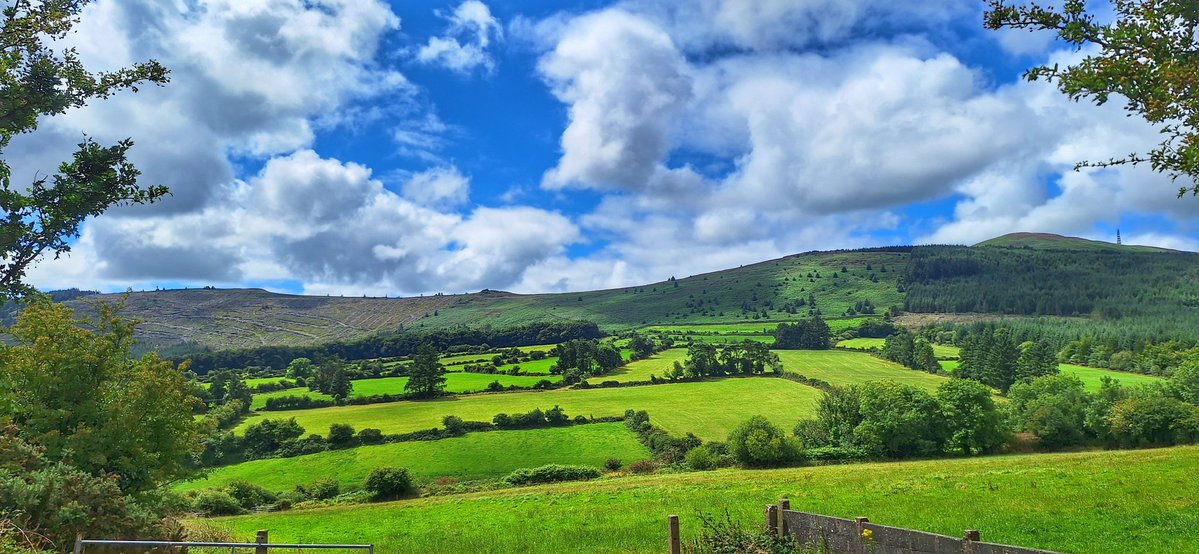 patrickkenealy's tweet image. Another fabulous afternoon spinning around the Waterford countryside! @AimsirTG4 @ancienteastIRL @barrabest @deric_tv @DiscoverIreland @discoverirl @Failte_Ireland @welovewaterford @VisitWaterford @WaterfordANDme @WaterfordPocket @WaterfordGrnWay @GoToIreland @DungarvanTIO