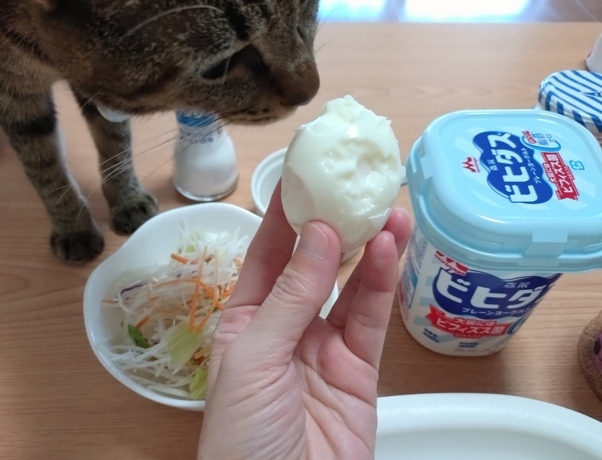 Js4zeKqmJxbnVBS's tweet image. 怖いか？
私のゆで卵をむく才能が…!!