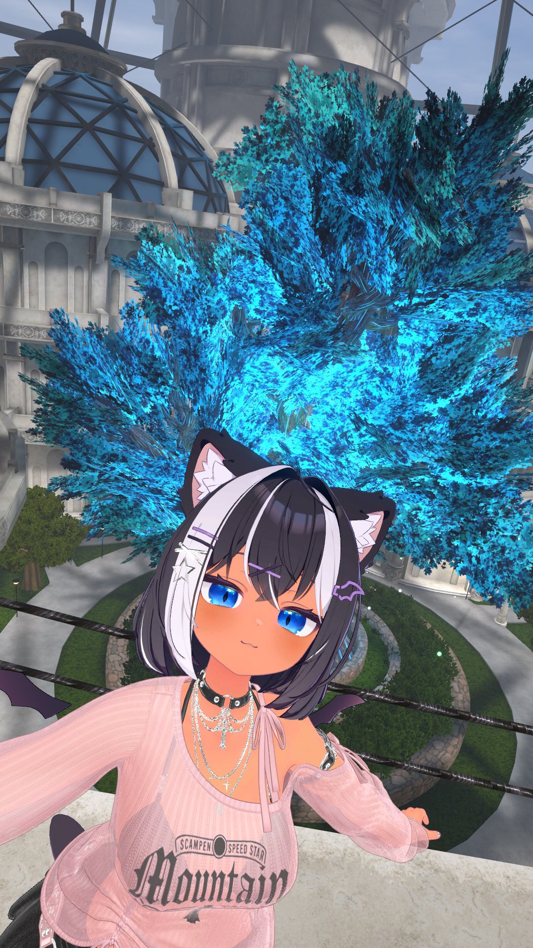 くろねこちゃん 坂道で追いかけてくる黒ねこちゃん No.980 2025年 7月