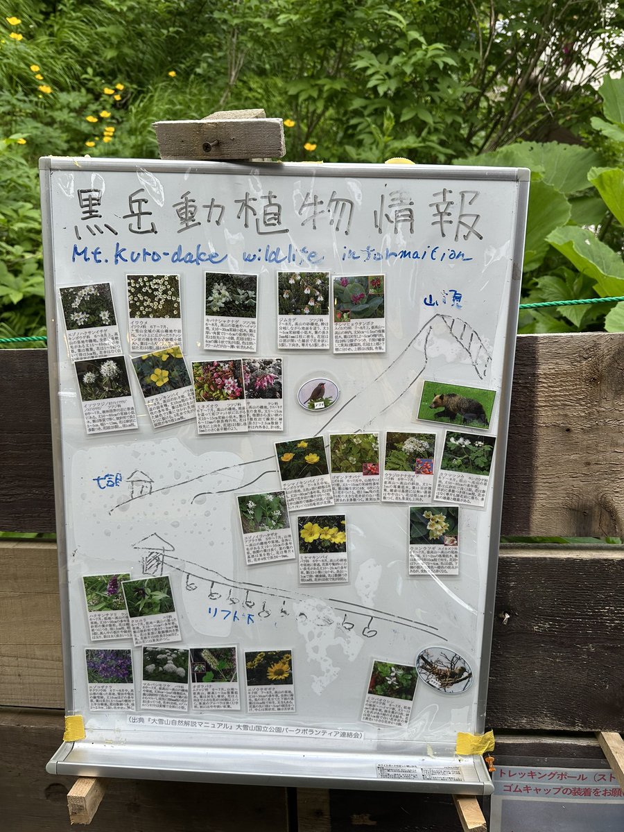 RieOgaWEB's tweet image. 北海道に行ってみて驚いたのは、山の入り口にあるこの看板。
「ヒグマ出没注意」は文字通り命に関わる話。
私を案内してくれた方は、車道でヒグマが車を追いかけてくるのを実際に見たそう。
——「ヒグマに襲われるリスク」は、想像ではなく現実です。
#ヒグマ #北海道 #命を守るということ