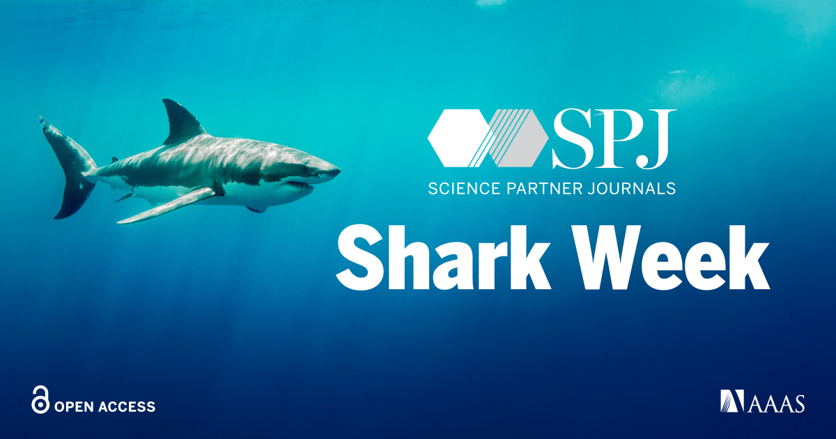 SPJournals's tweet image. Ever seen a shark queue for dinner? The Pacific sleeper shark has surprising table manners 🦈
Learn more about their fine sea dining habits here: spj.science.org/doi/10.34133/o…
#sharks #sharkweek