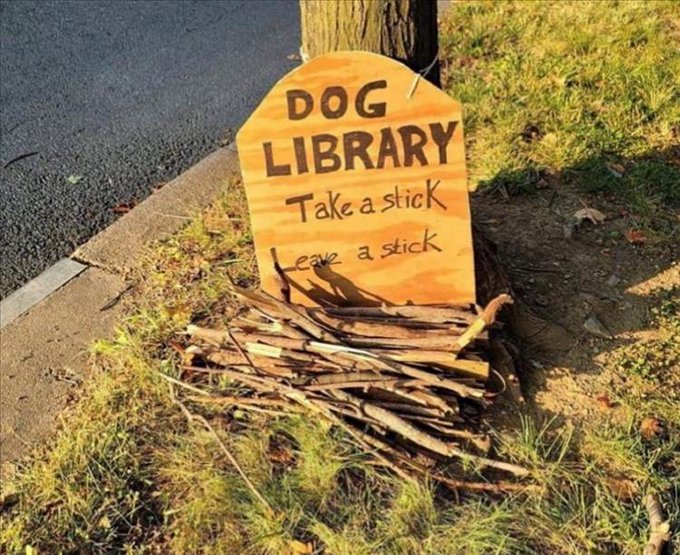 I love people who love dogs