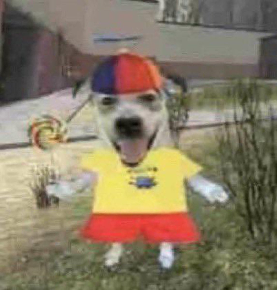 karina_core's tweet image. how it feels feeling so sick you have to cancel plans. bring back my youth