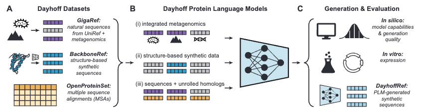 AllThingsApx's tweet photo. 👀#DayhoffAtlas dropped for #SynBio:👀

3.34B natural🧬 + 46M structure‑guided synthetic protein sequences (from 240k novel backbones), all open‑source

Hybrid Mamba‑Transformer learns single seqs & MSAs → 51.7 % of unfiltered designs express in E. coli🦠✨  #SyntheticBiology #ProteinDesign