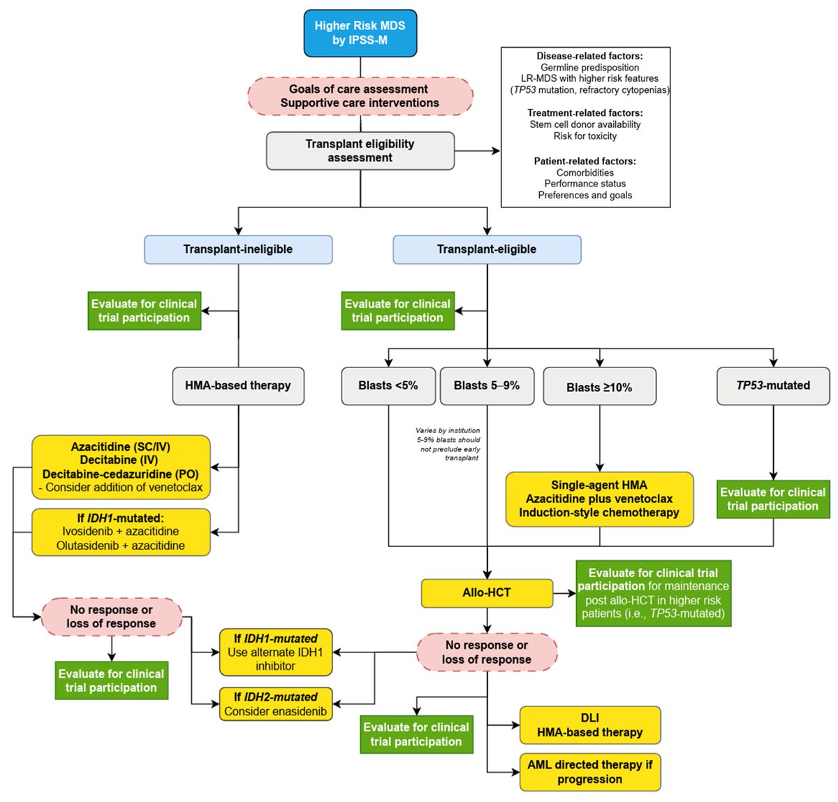 Benlazar S M A (@smbenlazar) on Twitter photo A proposed treatment algorithm of patients with HR-MDS in 2025 mdpi.com/2072-6694/17/1… #mds <a href="/Dr_AmerZeidan/">Amer Zeidan MBBS,MHS عامر زيدان</a> A proposed treatment algorithm of patients with HR-MDS in 2025 mdpi.com/2072-6694/17/1… #mds <a href="/Dr_AmerZeidan/">Amer Zeidan MBBS,MHS عامر زيدان</a>