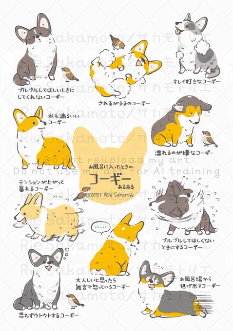 #夏風呂の日 のお風呂に入ったときのコーギーあるある 