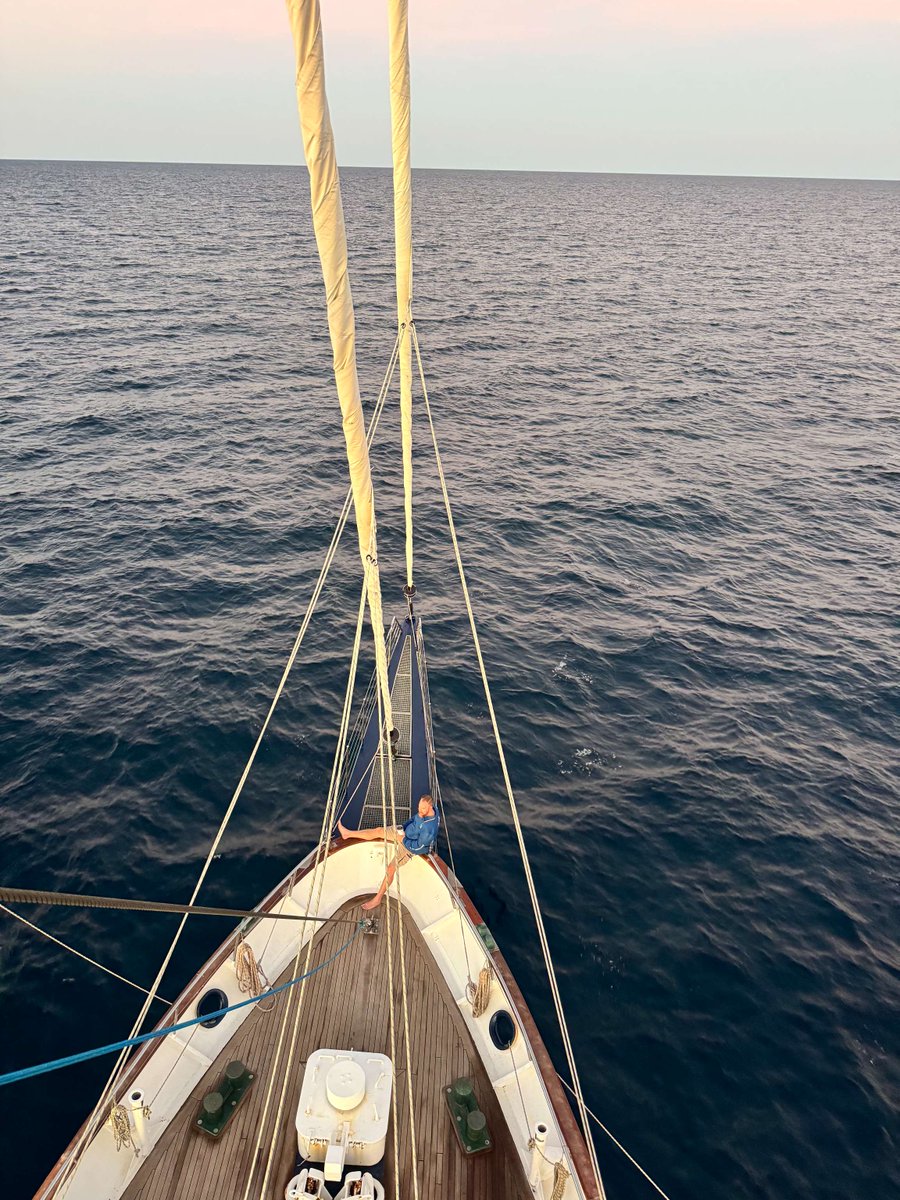YoungEndeavour1's tweet image. ⚓Captain's Log V13/25 - Day 01
"Ahoy there, armchair readers and late-night scrollers! We're back for another voyage, this time it's down the West Coast of Australia. Voyage 13/25: Exmouth to Fremantle and everything in between."
💻Full log on our Website.
