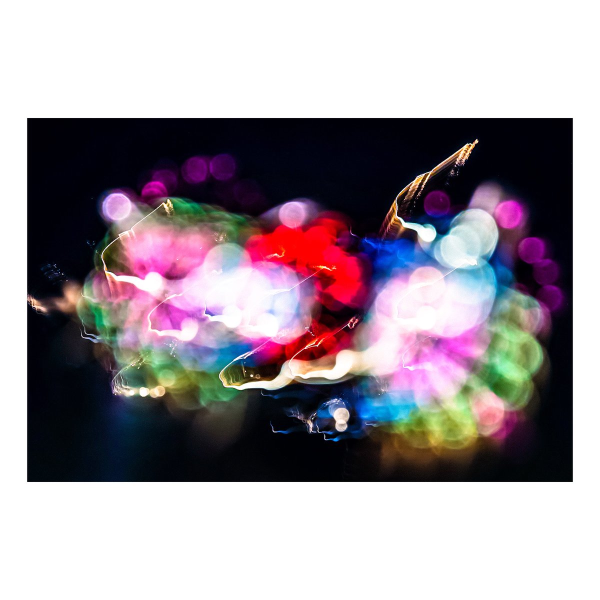 _90884's tweet image. 夜に跳ねる