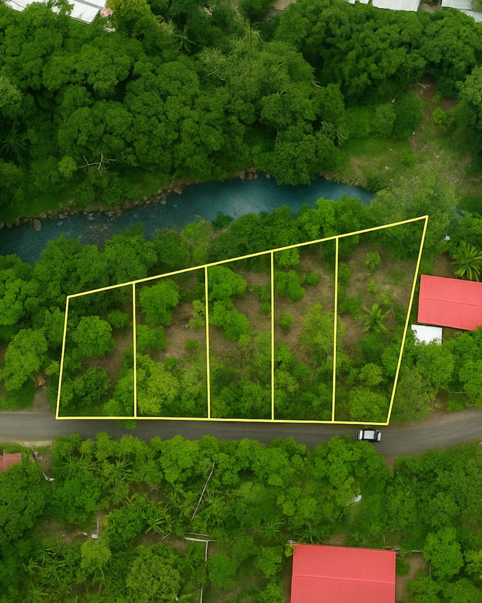 goodlife_sv's tweet image. Five lots under $60K available on the mountainside facing San Blas. Enjoy nature, convenience, and coastal living just 5 minutes from San Blas Beach and El Encuentro Mall.
- Water and electricity ready
- 3D architectural plans included
- Payments in Bitcoin accepted
DM us to…