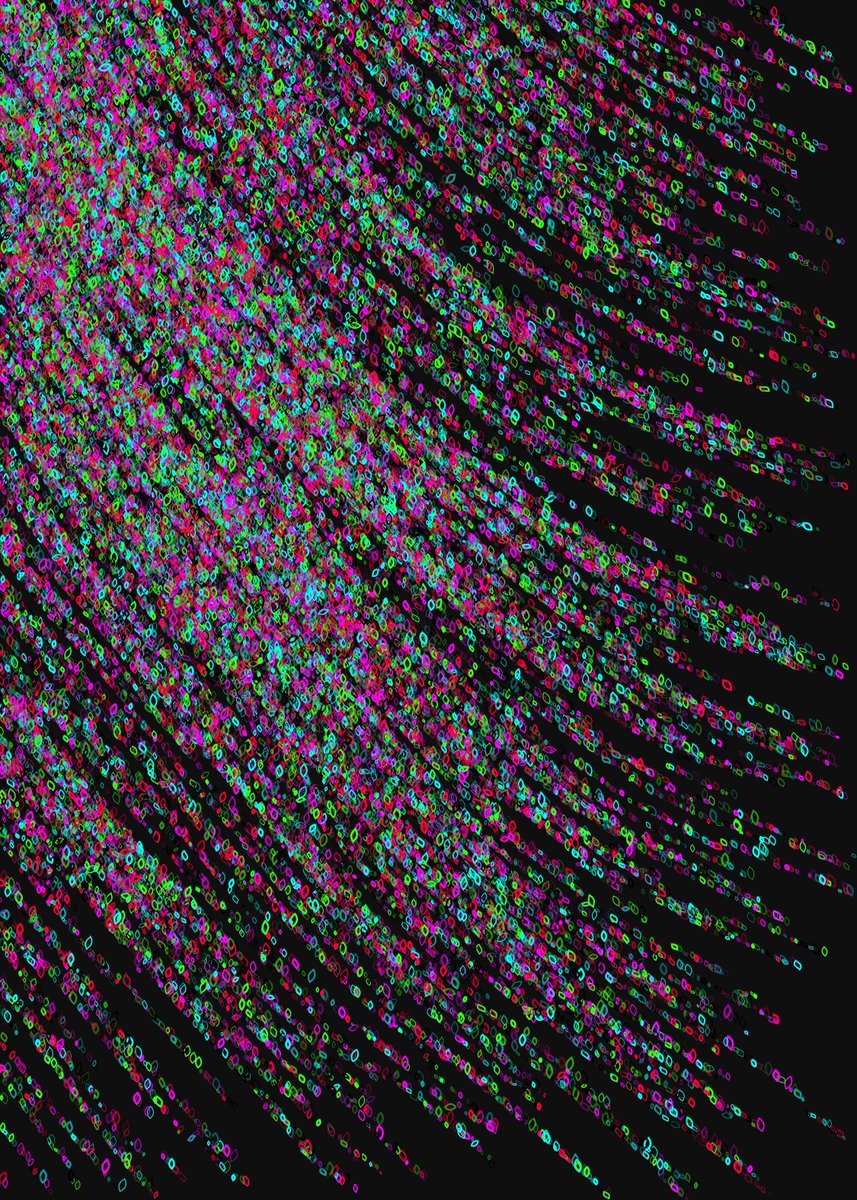 OnlyCapi's tweet image. Generative Flow — Edition of 10
Free mint, open to all Flow holders.
First come, first served.
Stay close 🫂