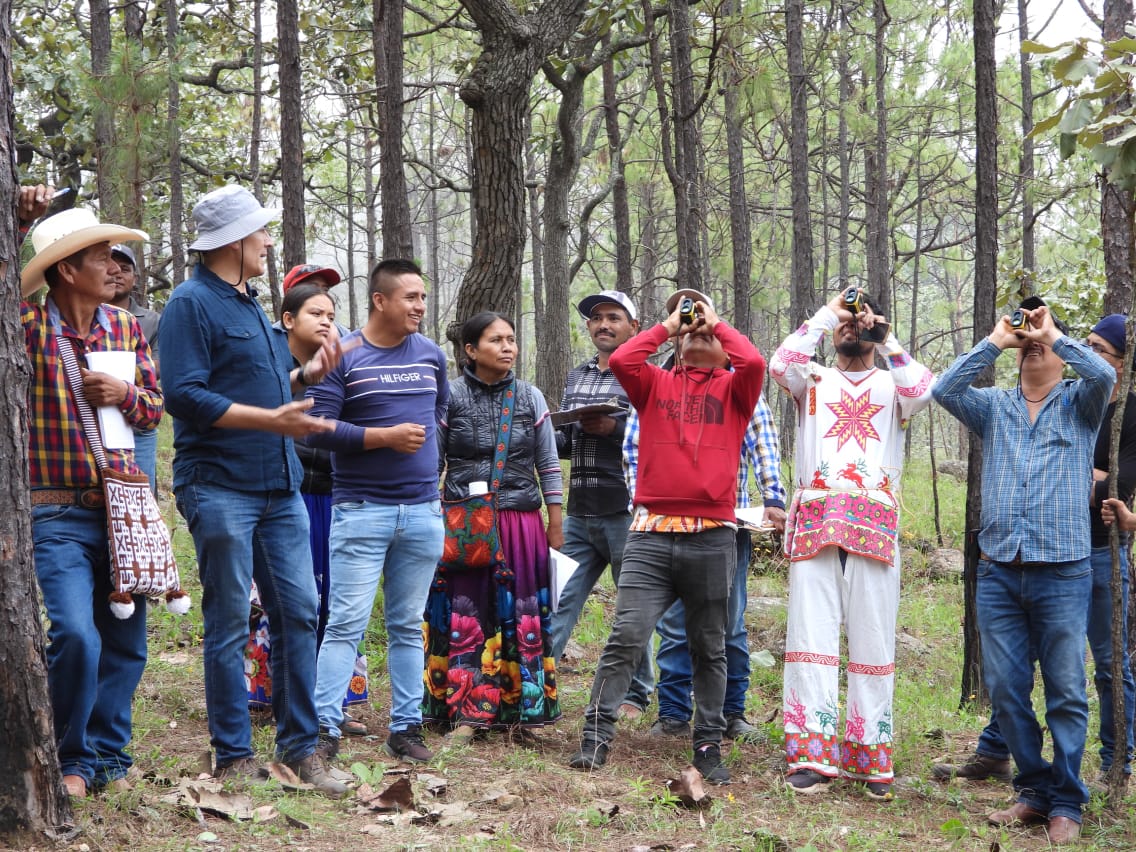 JoseOsio1168463's tweet image. Training for Wixarika community brigades on forest measurements to calculate carbon capture of the Dimitra Carbon Forest Conservation in Nayarit. #DimitraTech #$DMTR #DMTRTeam #Sustainability #DimitraCarbon #CarbonCredits #ClimateChange #conap #biosferadealica