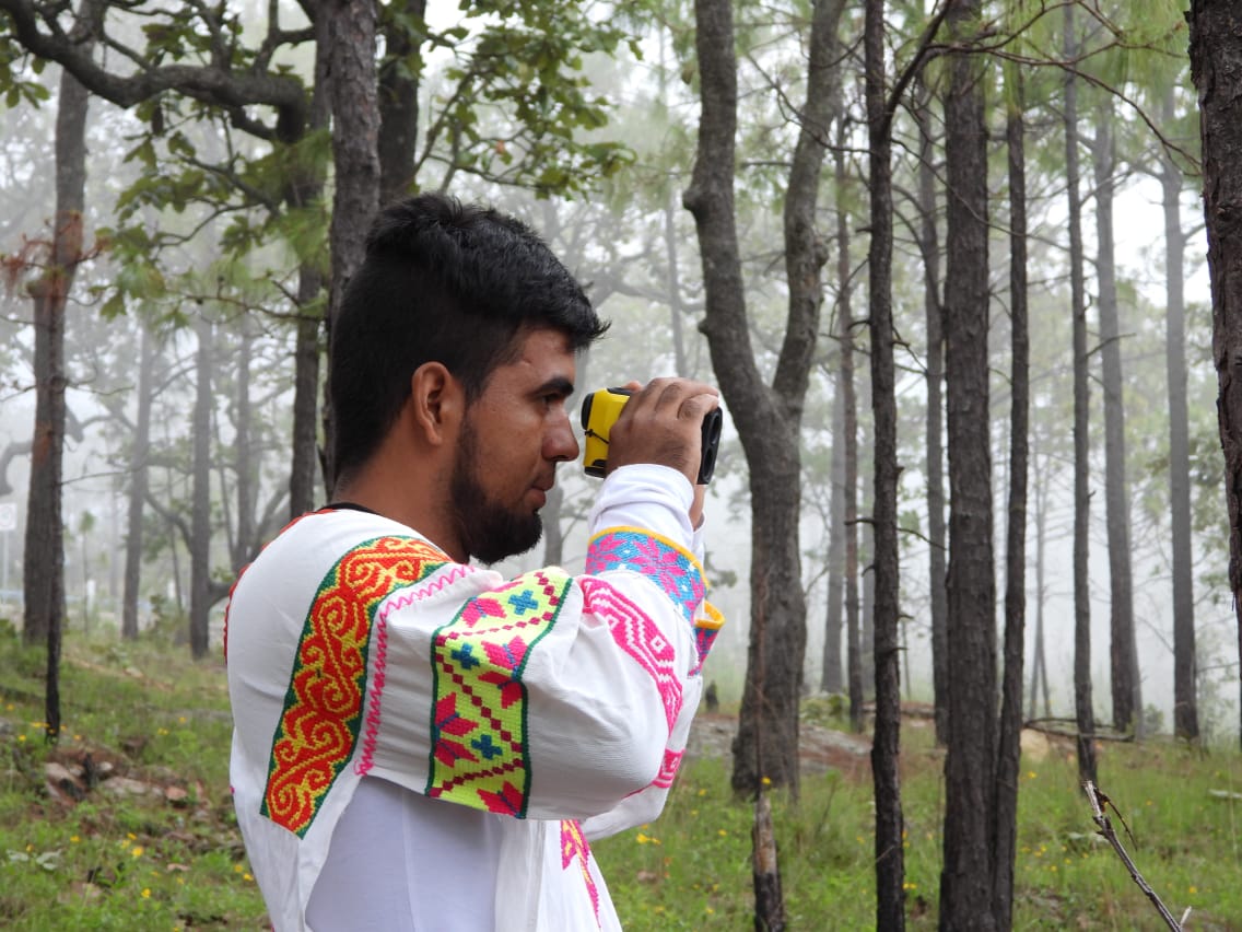 JoseOsio1168463's tweet image. Training for Wixarika community brigades on forest measurements to calculate carbon capture of the Dimitra Carbon Forest Conservation in Nayarit. #DimitraTech #$DMTR #DMTRTeam #Sustainability #DimitraCarbon #CarbonCredits #ClimateChange #conap #biosferadealica