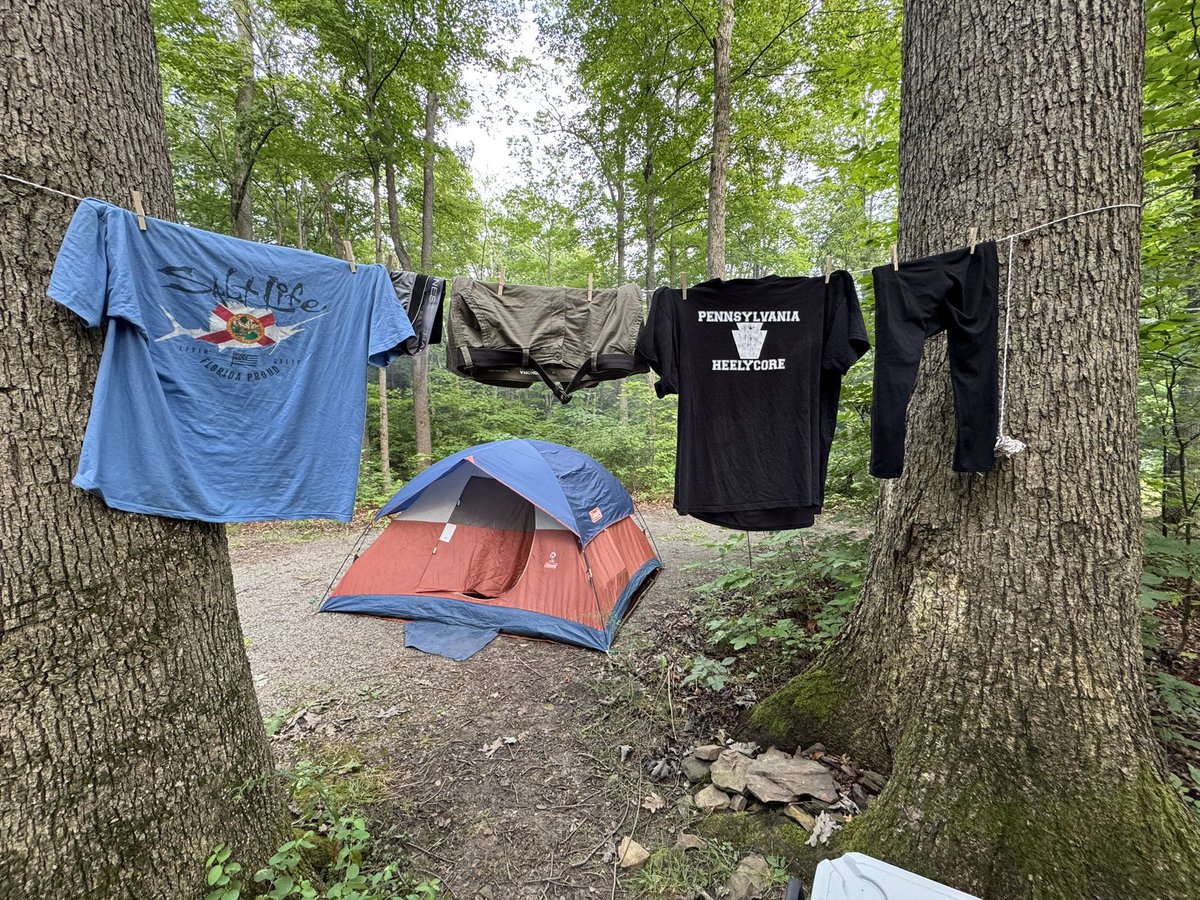 thesecoldbones's tweet image. the gang goes camping (me and oomf are fuckin in the tent later)