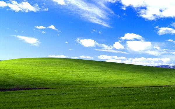 imryh's tweet image. I’m getting a new work computer next week. So, I went to backup and clear out my desktop, and was pleasantly surprised by how quick it was. Then, I remembered:
My desktop My downloads folder