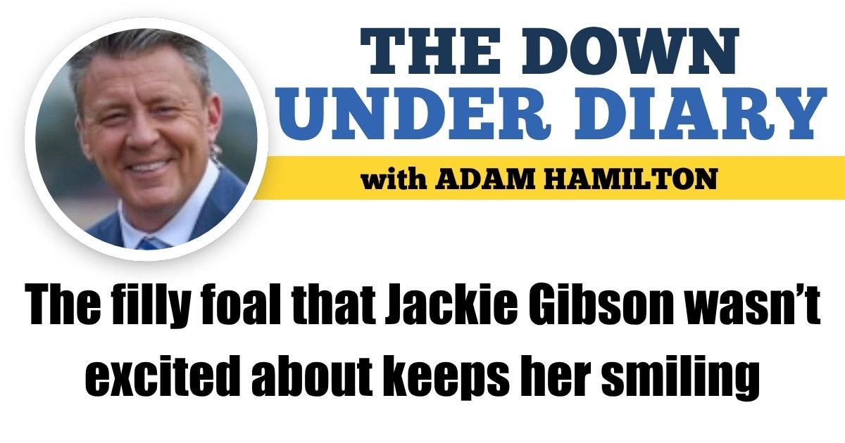 HarnessUpdate's tweet image. • @adamhsport: The filly foal that Jackie Gibson wasn’t excited about keeps her smiling
buff.ly/P0iXFF9
... Subscribe to HRU - for free - today at buff.ly/2JEfULa