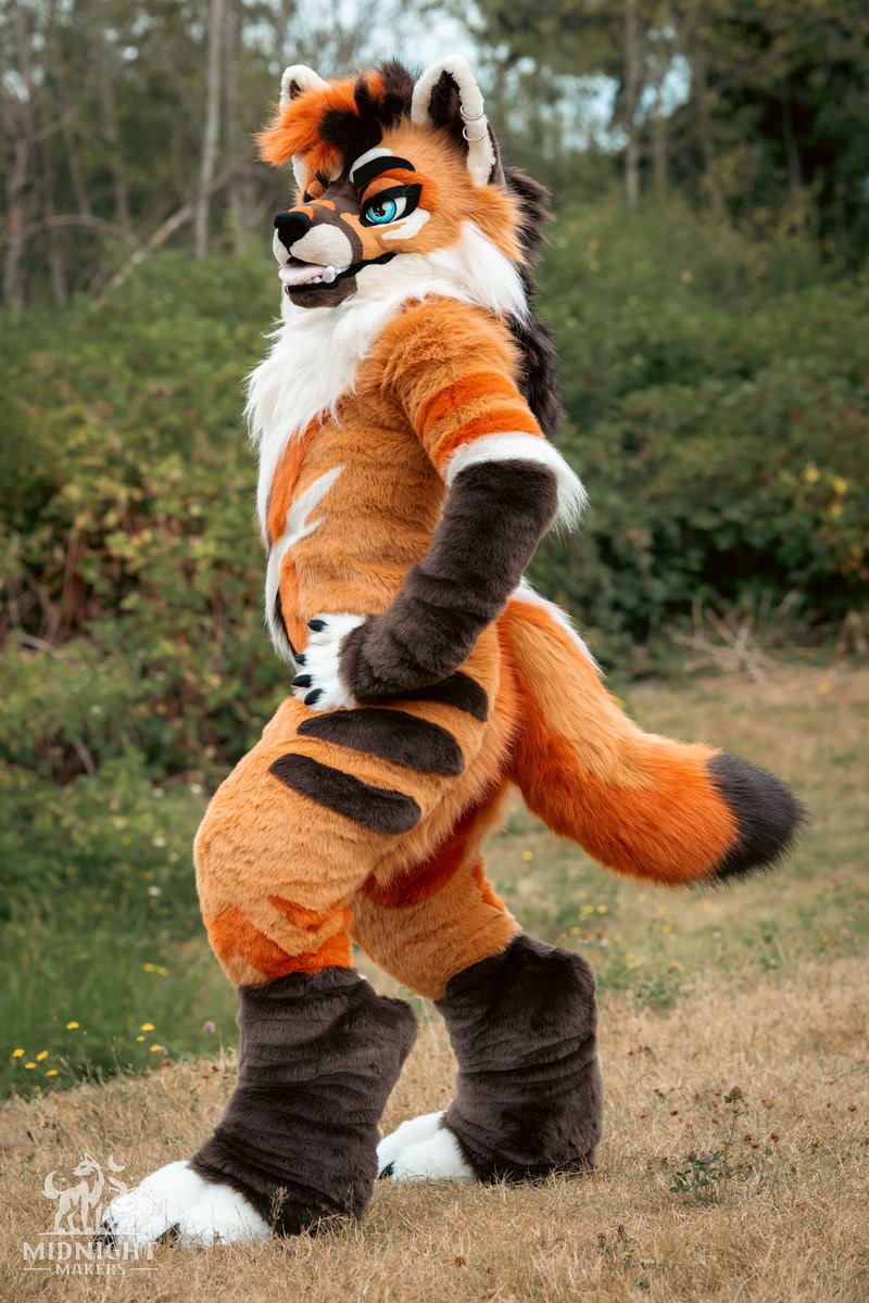 MidnightMkrs's tweet image. Fullsuit complete for Kaelan fox! 🦊☀️
#FursuitFriday
