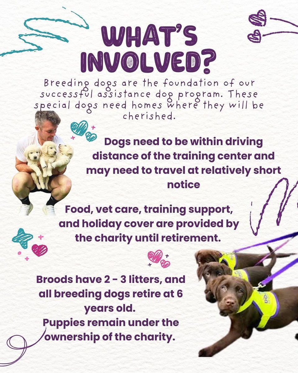 DogsForTheDisabled tweet media