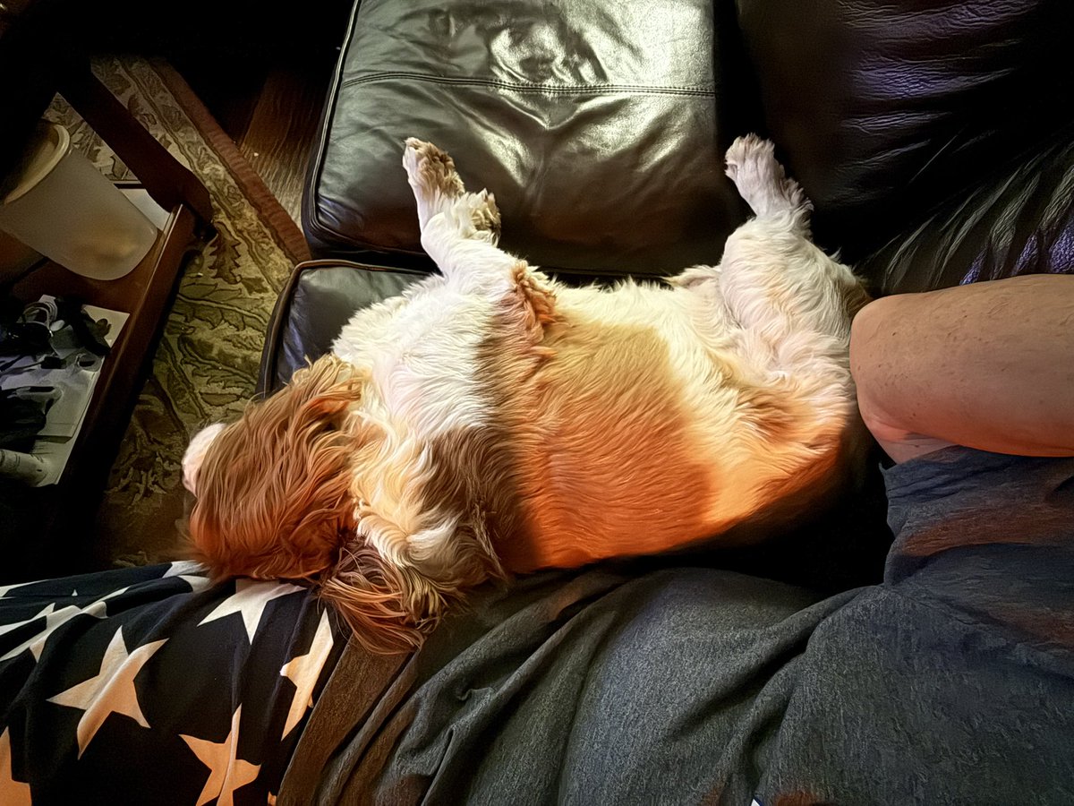 _Terry_Roden's tweet image. Friday night vibes