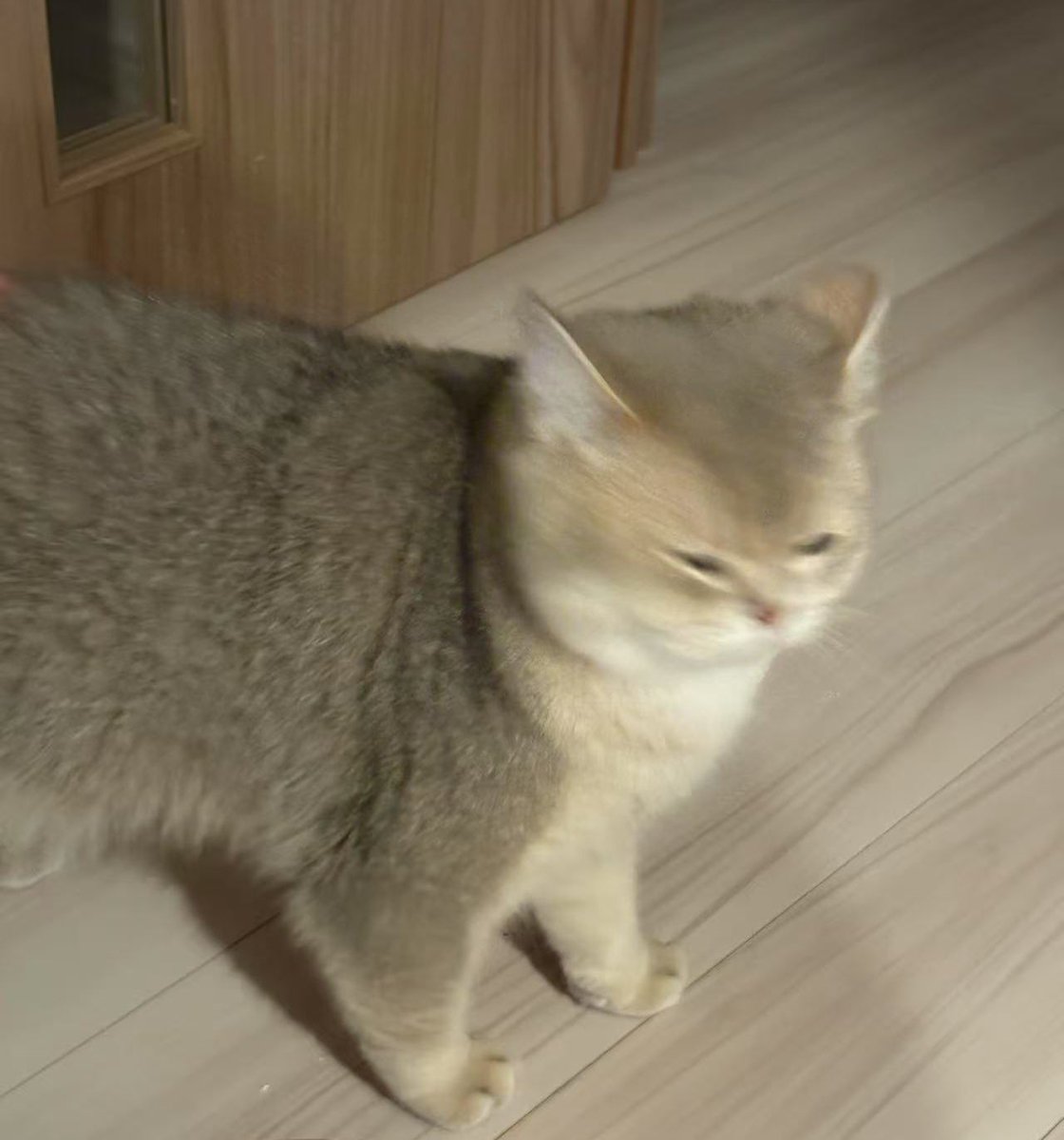 Fish2djdbsivay's tweet image. 