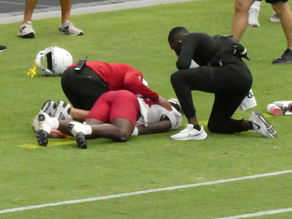 Cardschatter's tweet image. This was the play Starling Thomas V was hurt on. (🎥 @AZCardinals1988)