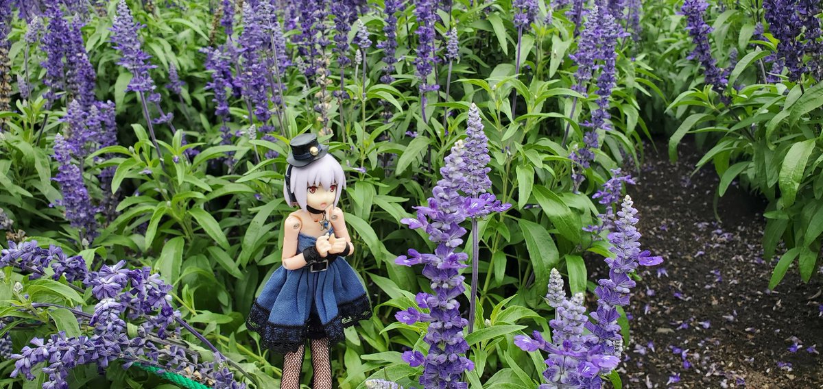 giojo321's tweet image. おは神姫
