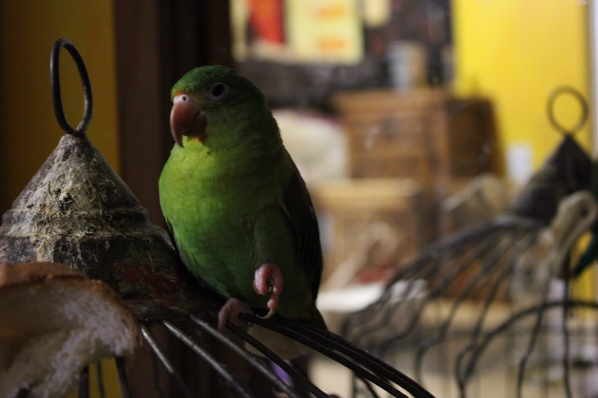 <a href="/EstralEsports__/">Estral Esports</a> Mis bebés
Raiden/Chocolatosa