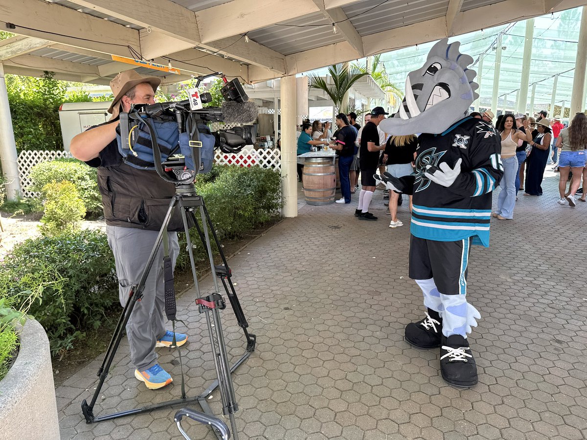 sjbarracuda's tweet image. The Barracuda are at the Gilroy Garlic Festival!🧄
We will be at the event all weekend at Gilroy Gardens. The weekend is sold out, but if you have a ticket, come stop by and chat with us! #SJBarracuda