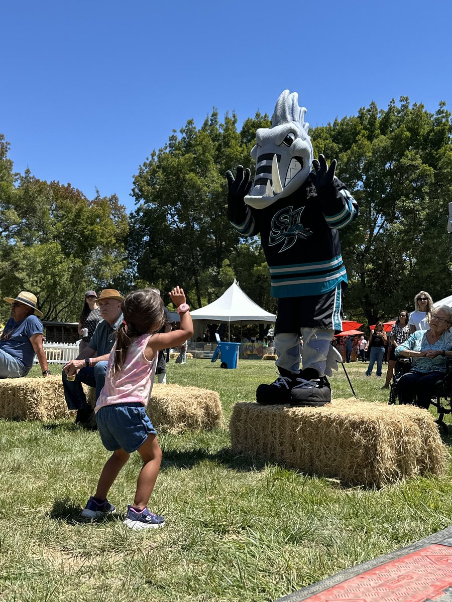 sjbarracuda's tweet image. The Barracuda are at the Gilroy Garlic Festival!🧄
We will be at the event all weekend at Gilroy Gardens. The weekend is sold out, but if you have a ticket, come stop by and chat with us! #SJBarracuda