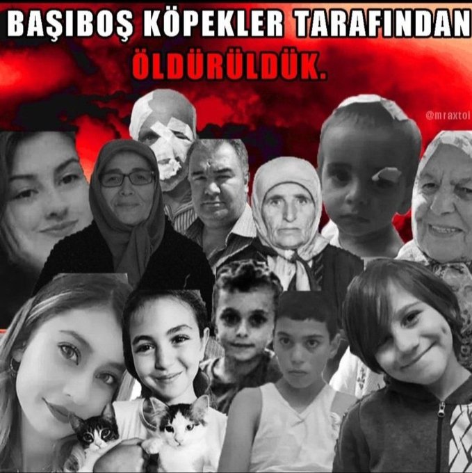 passgec's tweet image. Bu ülkede, mama lobisi de kesilmesi gereken kangrenli kol gibidir.