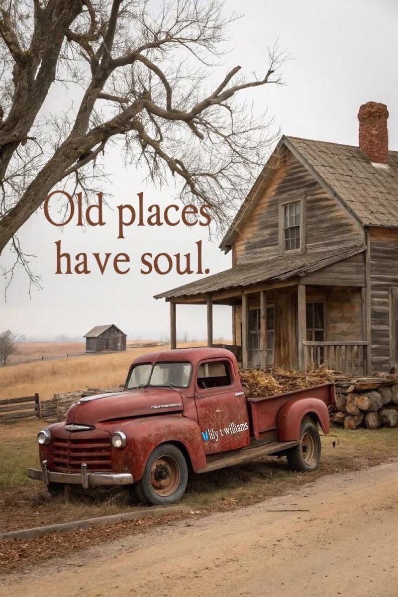 Gypsy Jane.... Waya Reign Rosalana 🥀🐺 (@raevenmoon1111) on Twitter photo 