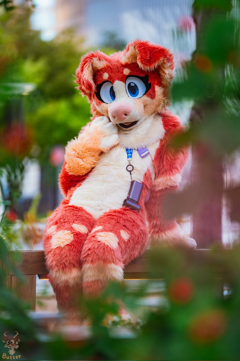 butteerr's tweet image. A few photos from July's Klyde Warren @DFWFurs furmeet

#DFWFurs #Furry #FursuitFriday
