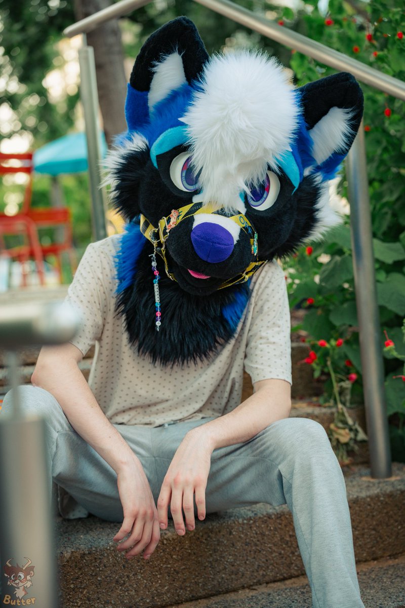 butteerr's tweet image. A few photos from July's Klyde Warren @DFWFurs furmeet

#DFWFurs #Furry #FursuitFriday