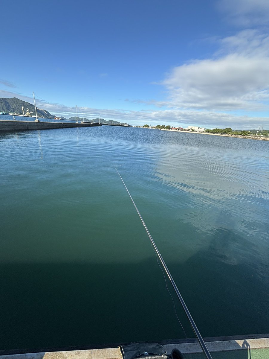 CatsTail_DOL's tweet image. おはようございます☀️

良き釣り日和となりました🎣🐟

今日も1日よろしくお願いします(っ ॑꒳ ॑c)