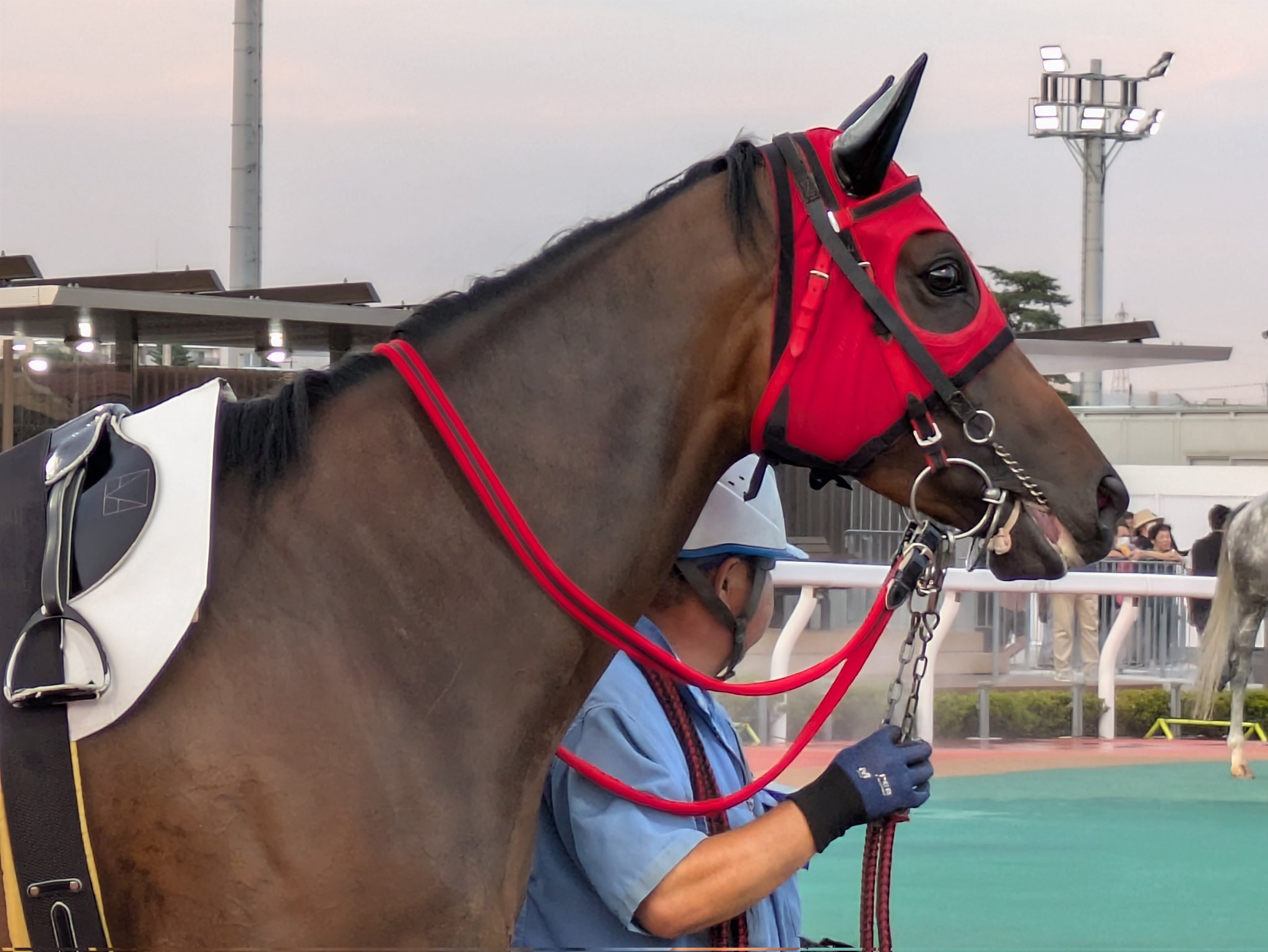 中国 加彩 騎馬人物 加彩騎馬婦人俑 文化遺産オンライン
