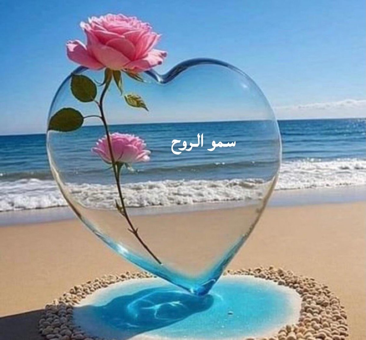 سموالروح (@sm0alroo7) on Twitter photo 