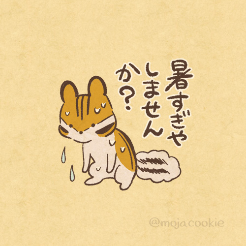 mojacookie's tweet image. まいにち、まいにち。