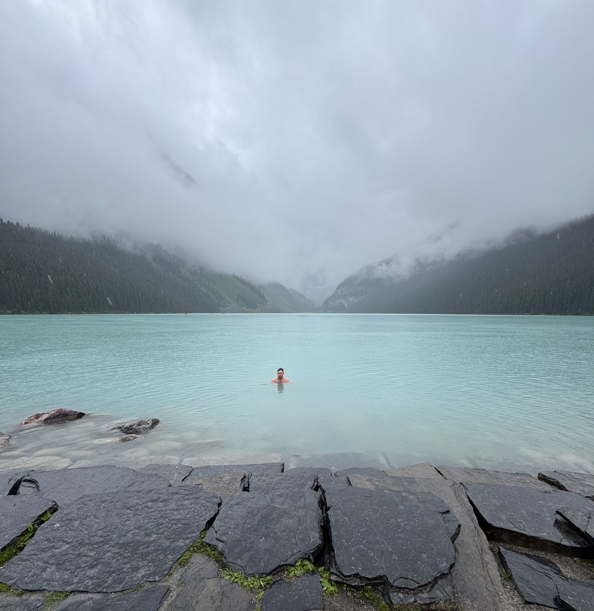 Will Compton tweet media