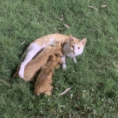 #صورة_جديدة_للملف_الشخصي