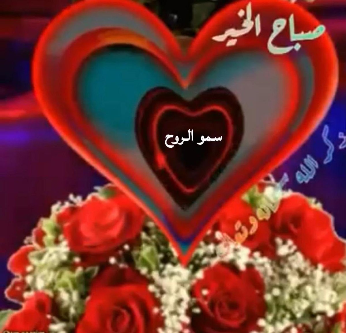 سموالروح (@sm0alroo7) on Twitter photo 