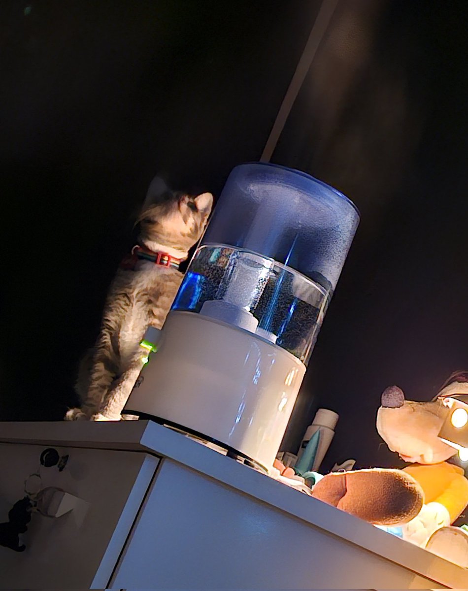 SM00NIS's tweet image. tem alguem fascinado com o vaporizador
