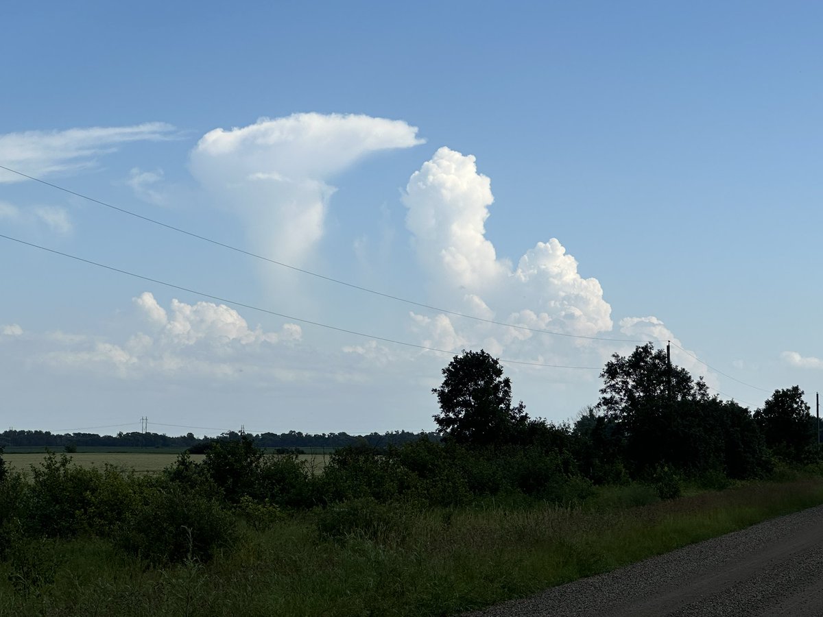 Some virga action SW of Neepawa  #mbstorm