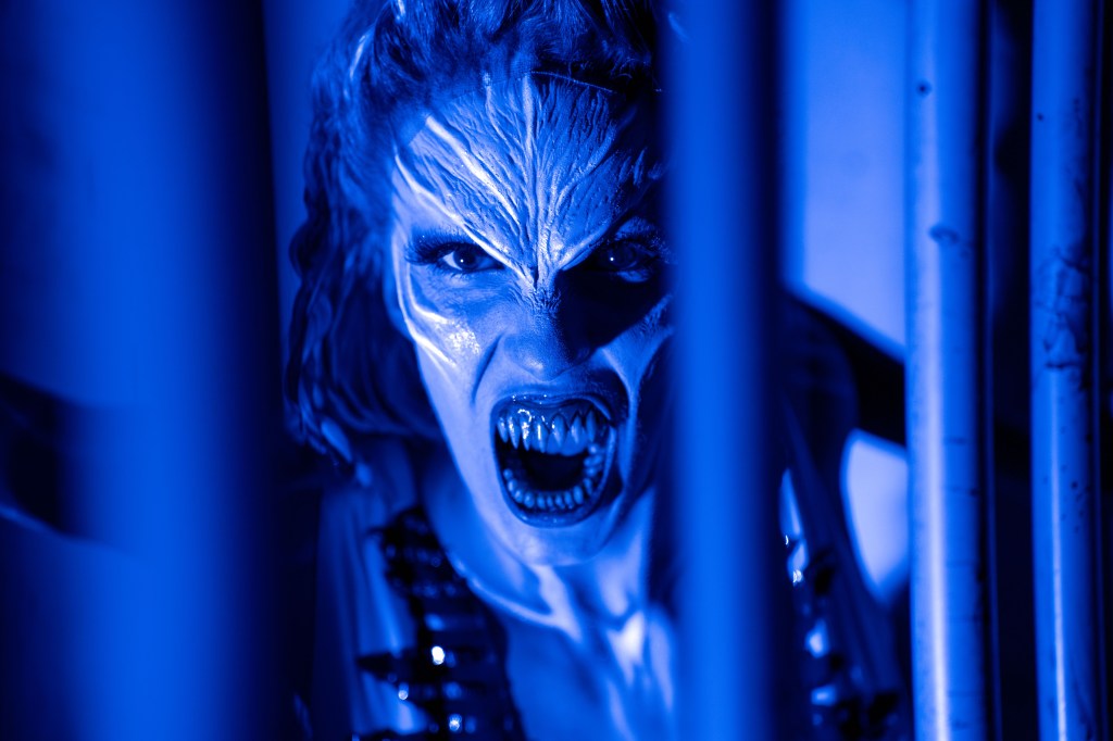 SeaWorld completes Howl-O-Scream house list with Widow’s Nest trib.al/SoDiUwu