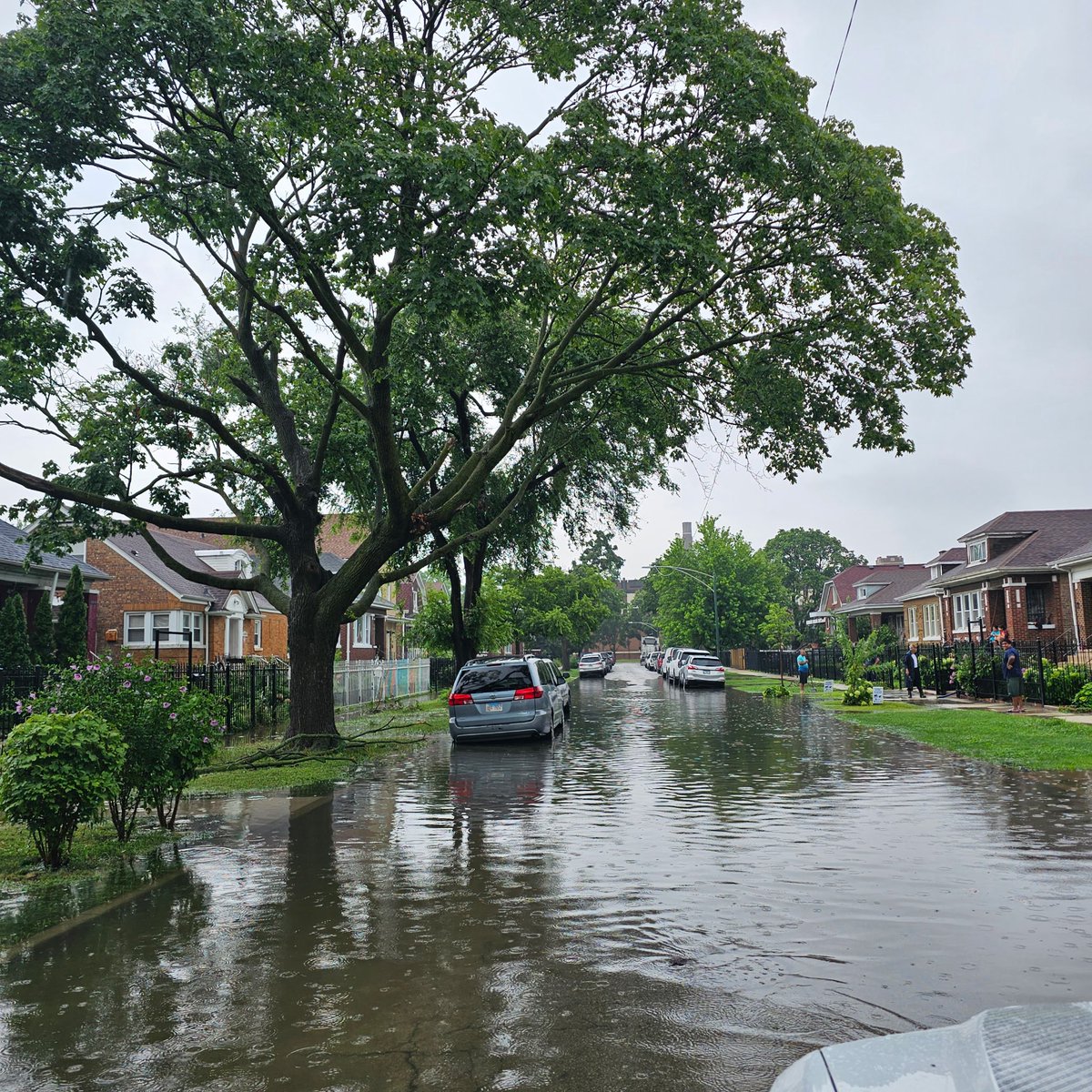 RaymondALopez's tweet image. I believe preventative maintenance is crucial to improving the quality of life within the ward and indeed the entire city.
Over the last decade, I have proactively pushed for enhanced parking enforcement, rodent abatement, garbage cart replacement, tree trimming and, yes,…