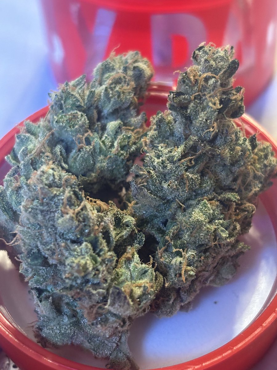 SammmyHash's tweet image. Sour diesel by LAX packs馃槏 one of my favorite sativa strains! This one was so sticky & fresh 馃挄