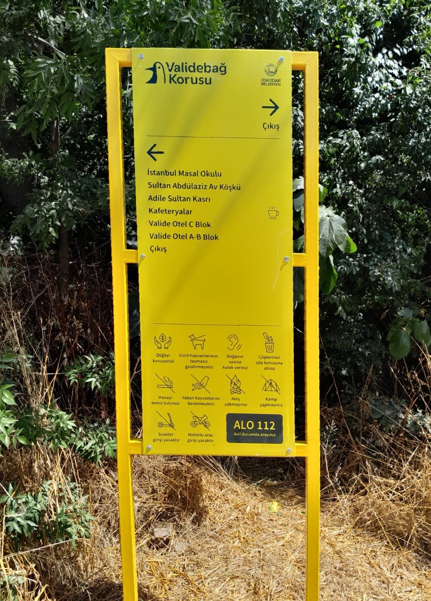 Bu günlerde #ValidebagKorusu'na yolunuz düşerse şöyle tabelalarla karşılaşacaksınız 👇🏽
<a href="/uskudarbld/">Üsküdar Belediyesi</a> Koru'yu ve doğal varlıklarını tanıtmak, bazen algılamadan geçtiğimiz güzelliklerle ilgili farkındalık yaratmak amacıyla bu görselleri hazırlamış.
Emeği geçen herkese teşekkürler 🌿