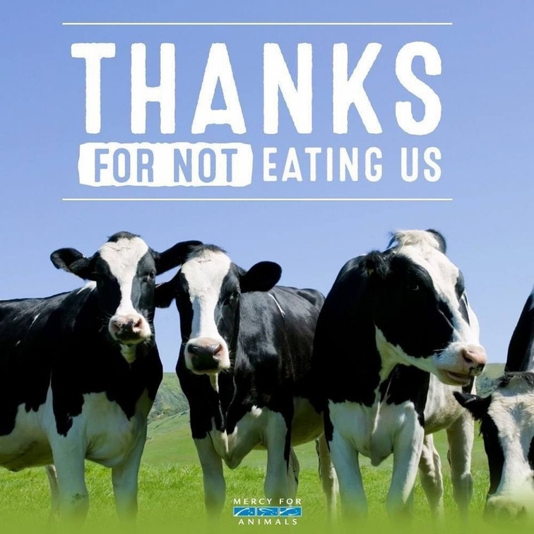 veganfuture's tweet image. 