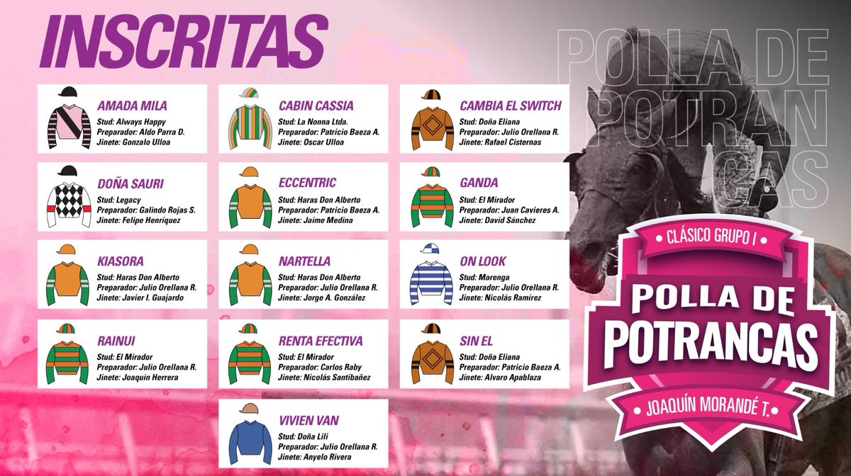 🏆 ¡CONOCE A LAS INSCRITAS EN LA POLLA DE POTRANCAS!

Estas serán las participantes en el clásico de Grupo 1 que se correrá este viernes 1 de agosto en el Club Hípico sobre 1.700 metros.