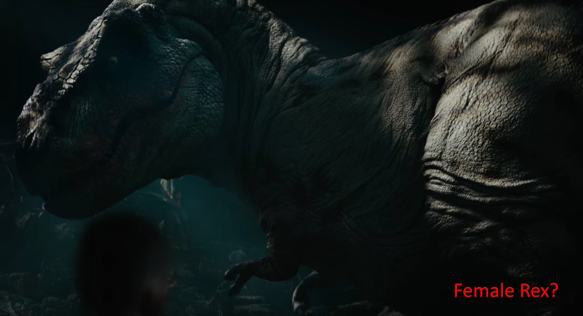 michel_elia's tweet image. In the #PrimitiveWar novel, both Tyrannosaurus rex are fully feathered. In the film adaptation, only the male has feathers, suggesting his plumage serves a display or mating function 🤔