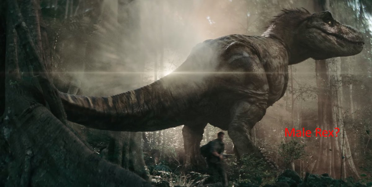 michel_elia's tweet image. In the #PrimitiveWar novel, both Tyrannosaurus rex are fully feathered. In the film adaptation, only the male has feathers, suggesting his plumage serves a display or mating function 🤔